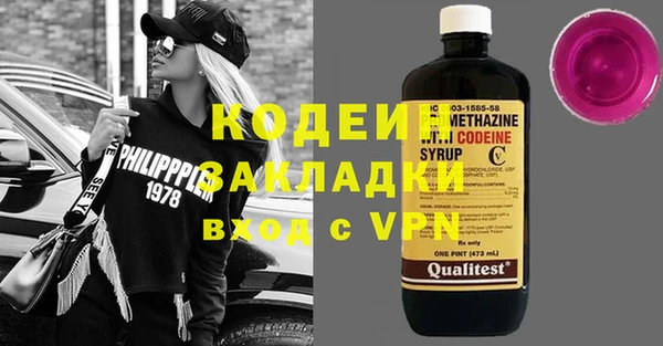 соль ск Дмитриев
