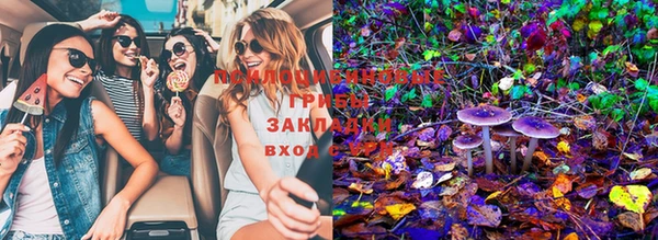 PSILOCYBIN Алексеевка