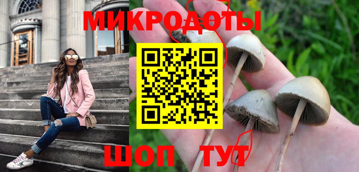 Псилоцибиновые грибы Psilocybe  хочу   Астрахань  Вход с VPN 