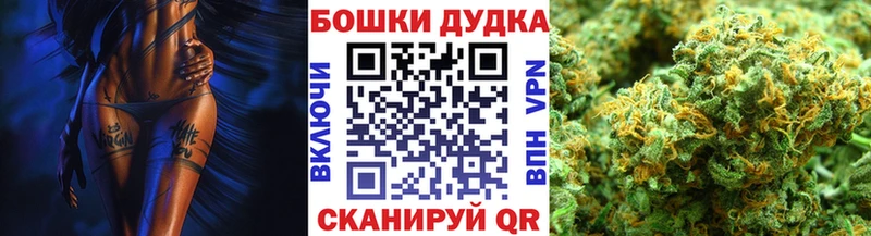 наркотики  Астрахань  Канабис планчик 